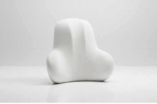 Coussin lombaire ergonomique